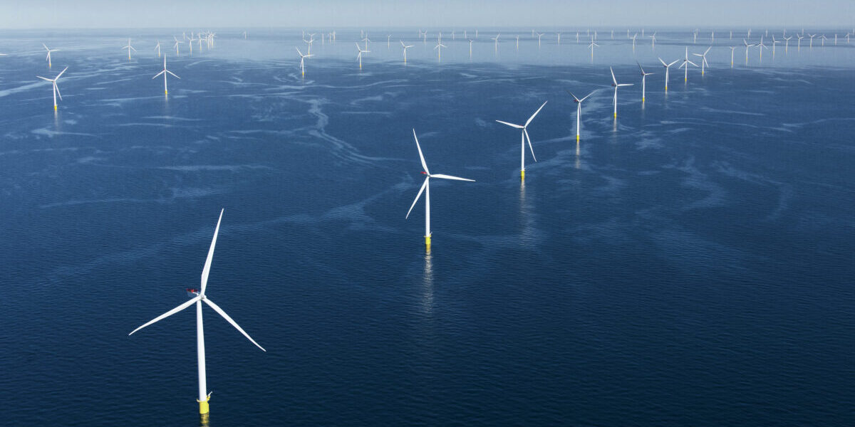 Full-farm-view-highres-1200×801 (1)