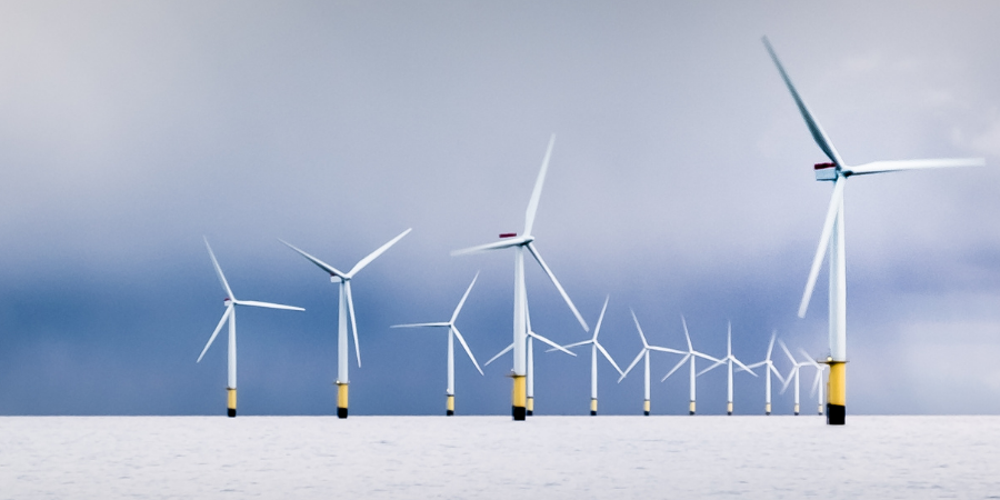 Kopi af Kopi af Kopi af 2021 (20)