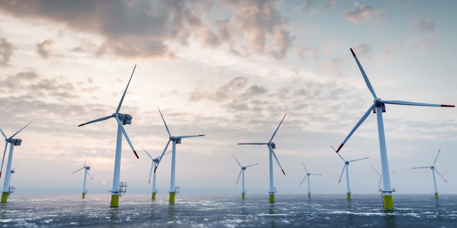 Design uden navn (1)