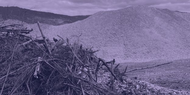 Tomt Øyer 2022-12-22 084041