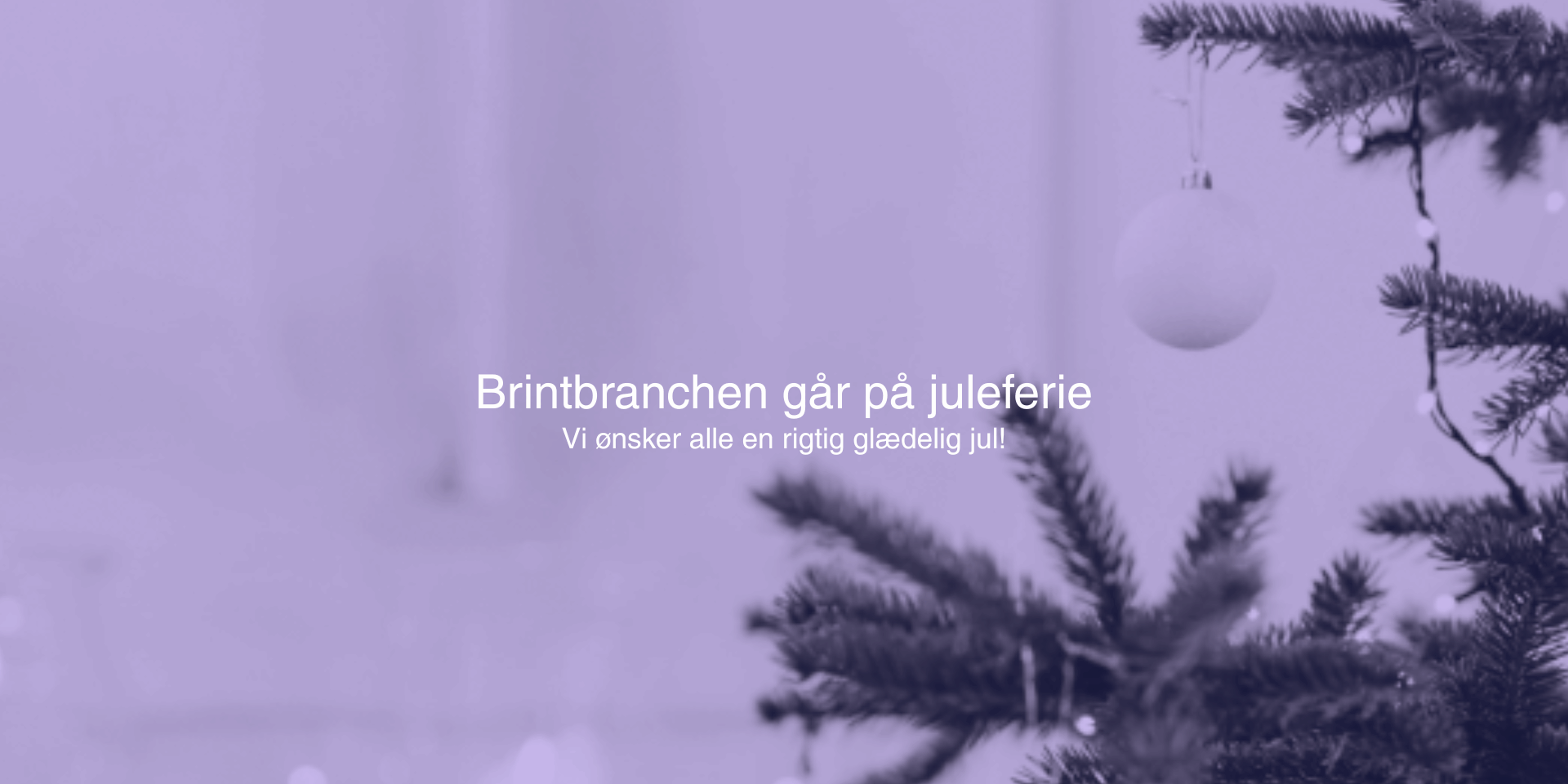 Brintbranchen går på sommerferie (8)